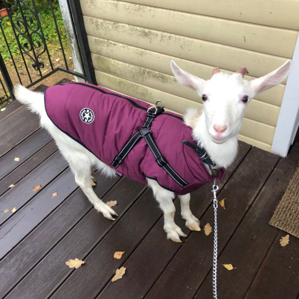Waterproof Dog Clothes Winter Dog Coat With Harness Warm Pet Clothing Big Dog Jacket Chihuahua Labrador Coat Costume - key words
