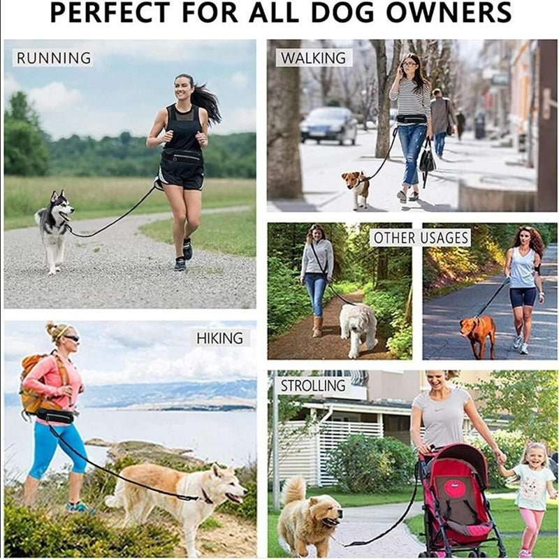 Hands Free Dog Leash Pet Walking And Training Belt With Shock Absorbing Bungee Leash For Up To 180lbs Large Dogs Phone Pocket And Water Bottle Holder - key words