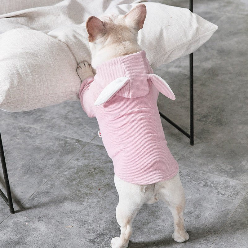 Dog Pet Clothes Spring And Autumn Clothing - key words