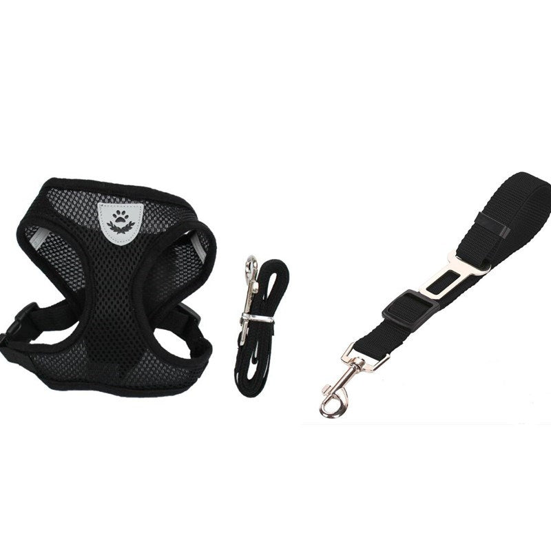 Pet Car Seat Belt Pet Leash - key words