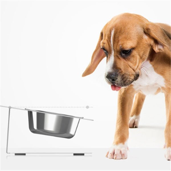 Anti-falling Cat Dog Feeding Water Bowl - key words