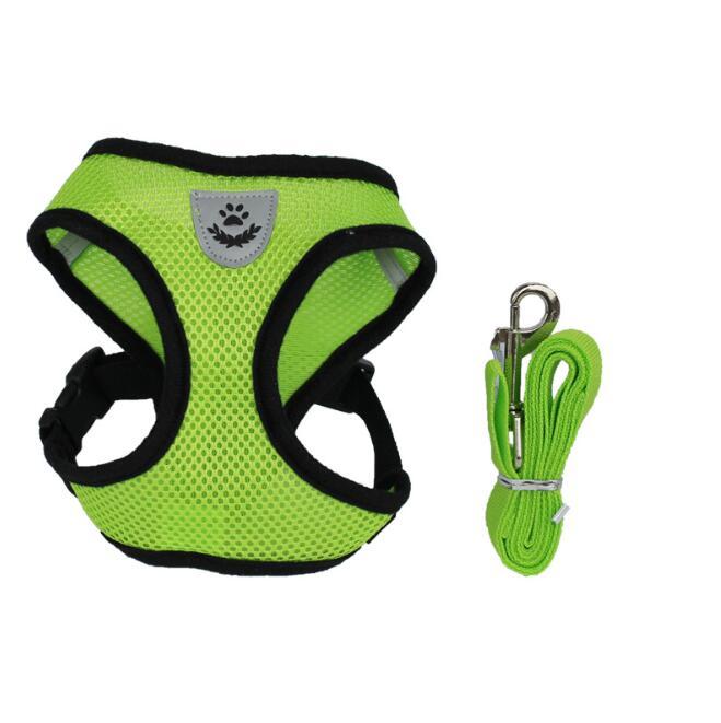 Pet Car Seat Belt Pet Leash - key words