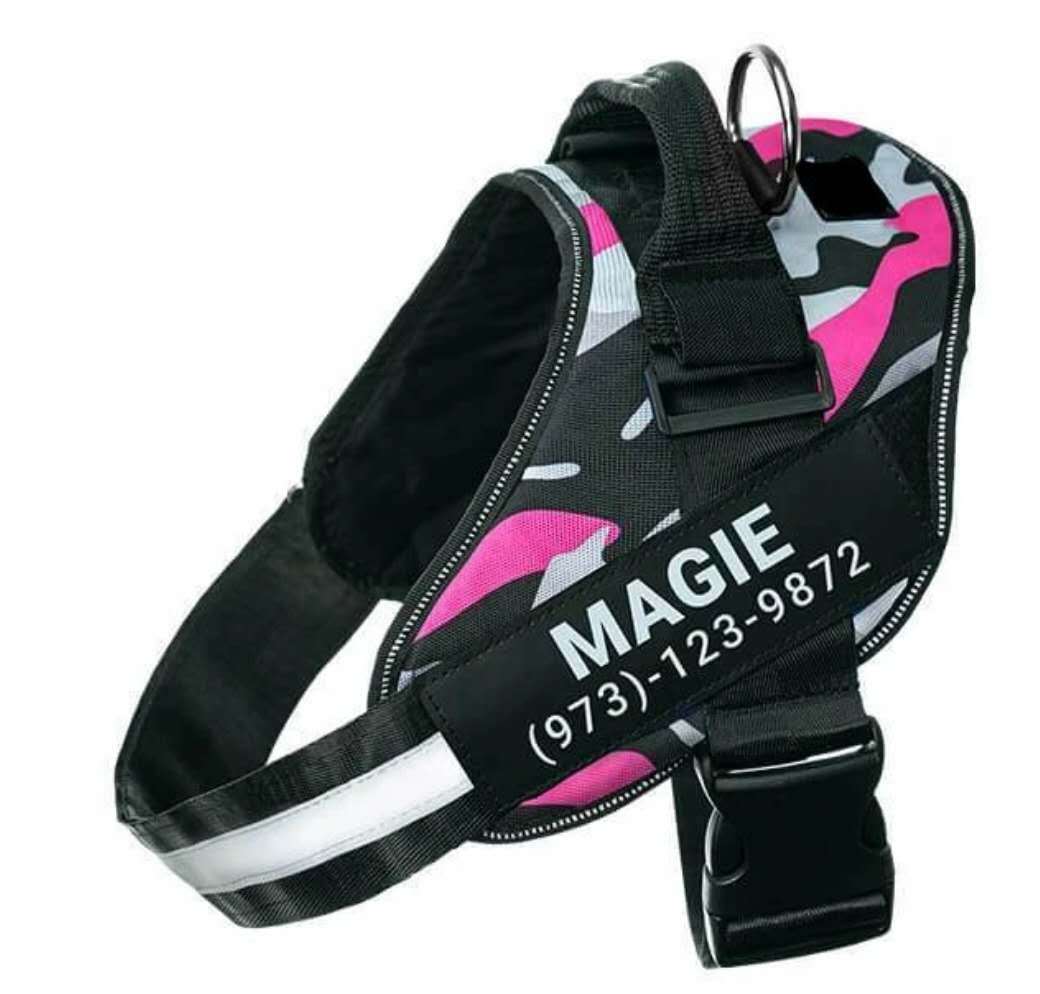 Personalized Custom Reflective Breathable Dog Harness NO PULL Adjustable Pet Harness For Small Large Dog Harness Vest With Patch - key words