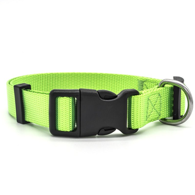 New Pet Collar - key words