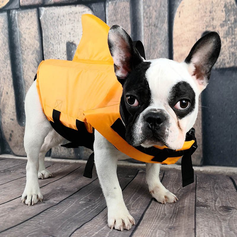 Dog Life Vest Summer Shark Pet Life Jacket - key words