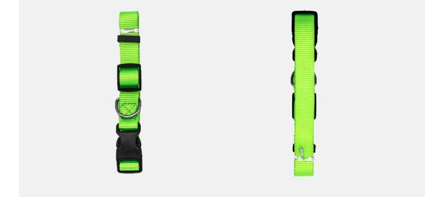 New Pet Collar - key words