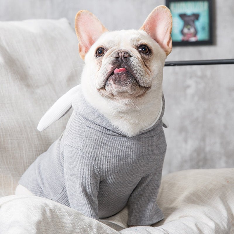 Dog Pet Clothes Spring And Autumn Clothing - key words