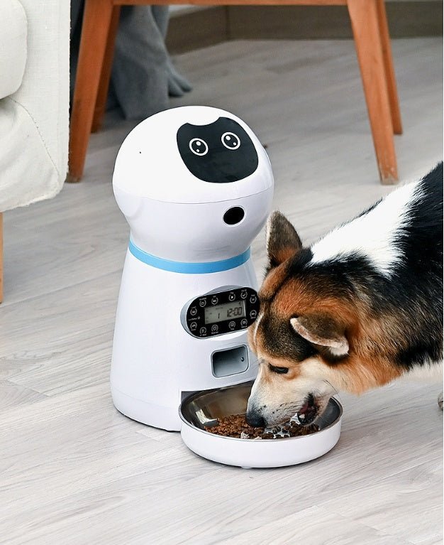 Automatic pet feeder - key words