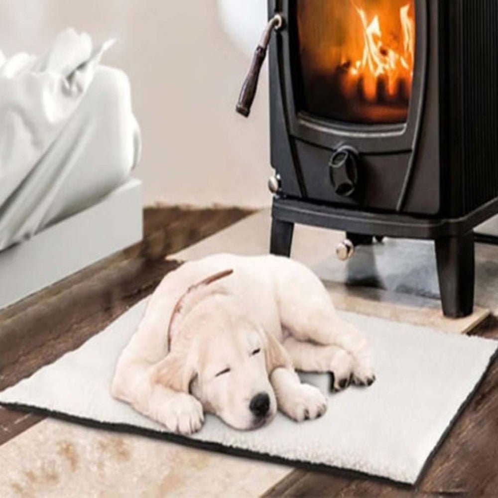 Self Heating Dog Cat Blanket Pet Bed Thermal Washable No Electric Blanket Super Soft Puppy Kitten Blanket Beds Mat - key words