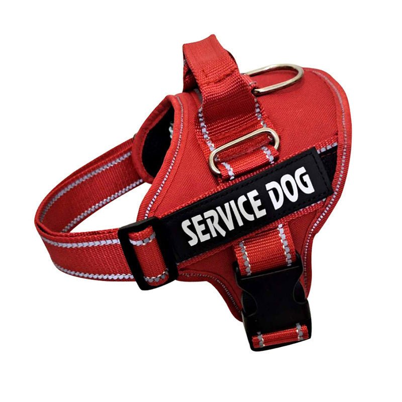 Personalization Of Pet Chest Strap Products - key words
