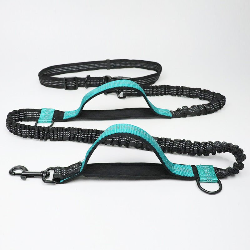 Amazon direct pet supplies multi-function running reflective pull dog leash double elastic dog leash traction - key words
