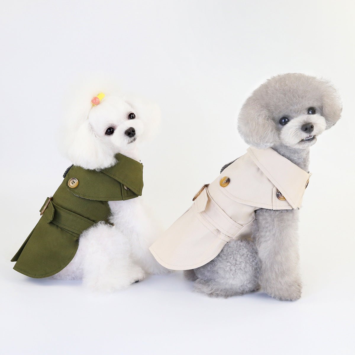 clothes for pets - key words