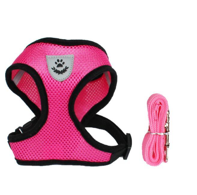 Pet Car Seat Belt Pet Leash - key words