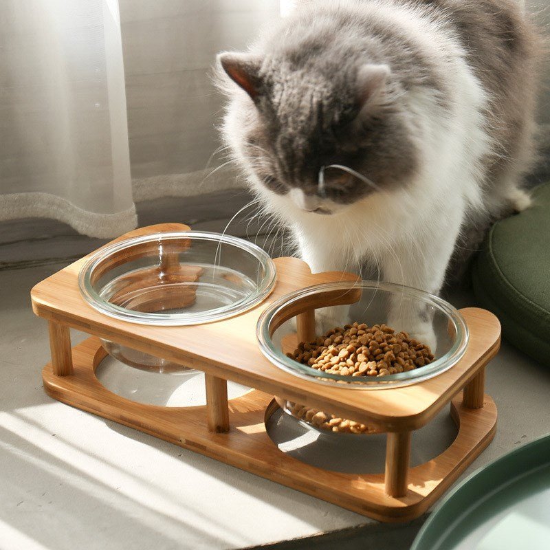 Glass cat bowl cat food bowl cat food bowl - key words