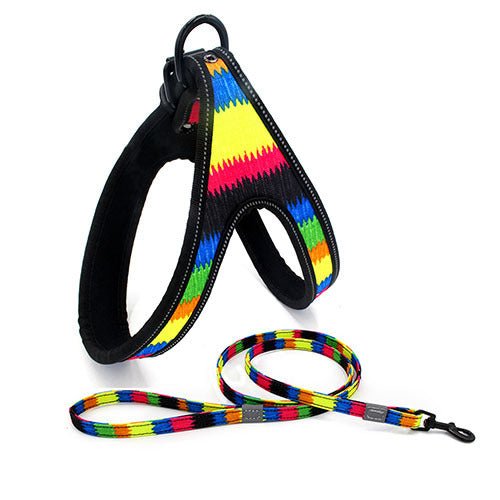 Colorful Dog Leash Dog Walking Rope Small And Medium-sized Dog Explosion-proof Dog Chain - key words