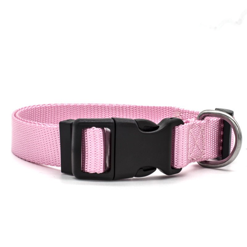 New Pet Collar - key words