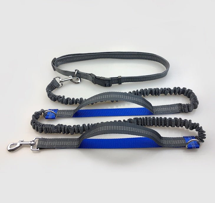 Amazon direct pet supplies multi-function running reflective pull dog leash double elastic dog leash traction - key words