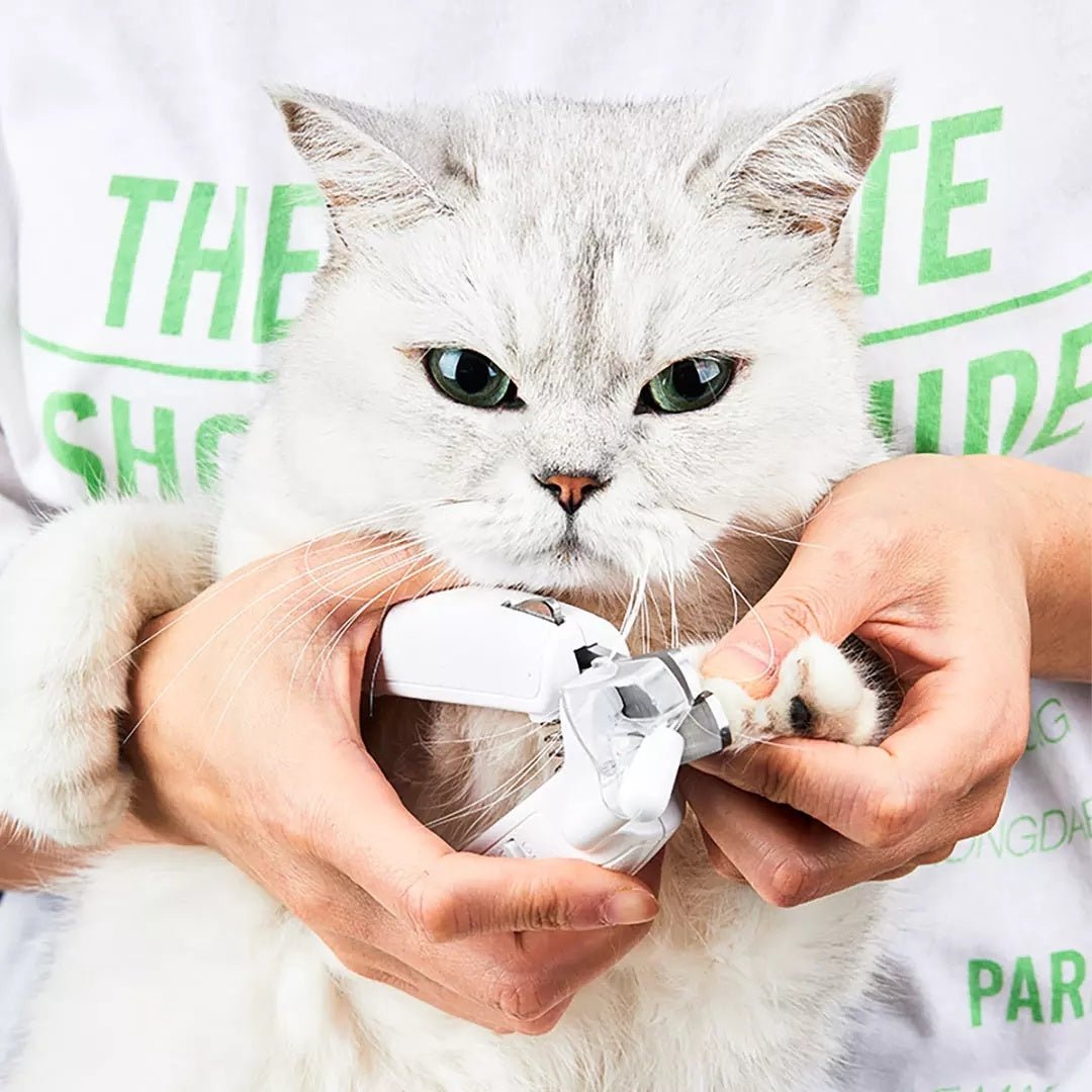 Professional Pet Nail Clipper Scissors Pet Dog Cat Nail Toe Claw Clippers Scissor LED Light Nail Trimmer For Animals Pet - key words