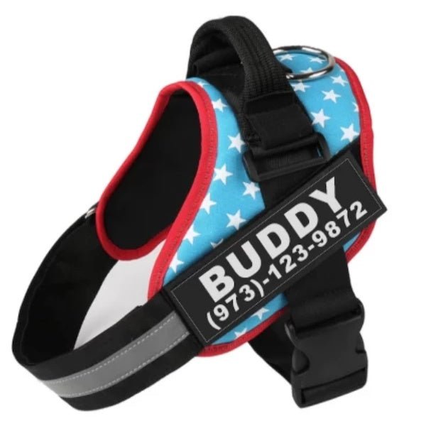 Personalized Custom Reflective Breathable Dog Harness NO PULL Adjustable Pet Harness For Small Large Dog Harness Vest With Patch - key words