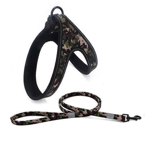 Colorful Dog Leash Dog Walking Rope Small And Medium-sized Dog Explosion-proof Dog Chain - key words