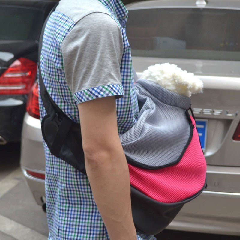 Pet Backpack - key words