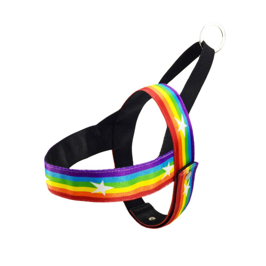 Rainbow cool dog chain dog leash - key words