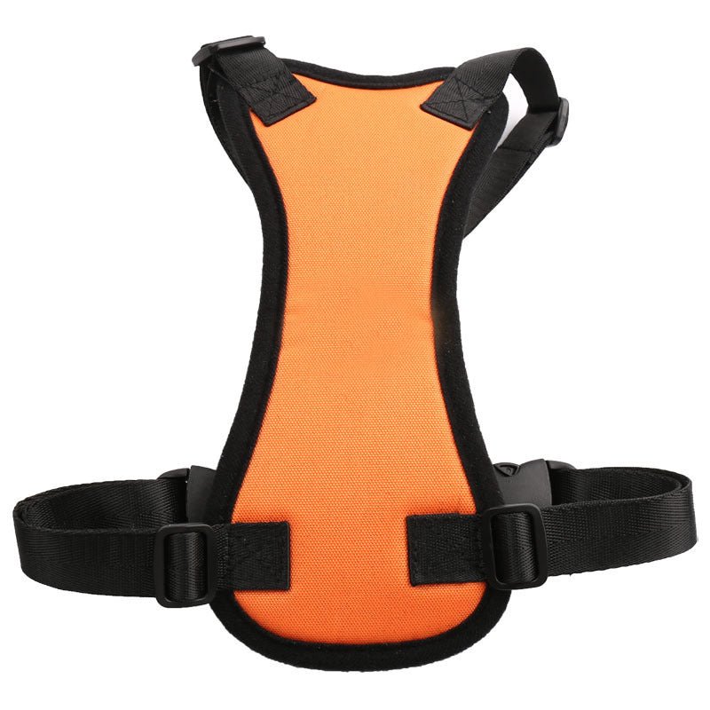 Car seat belts for pets - key words