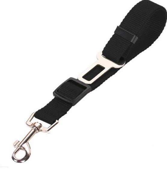 Pet Car Seat Belt Pet Leash - key words