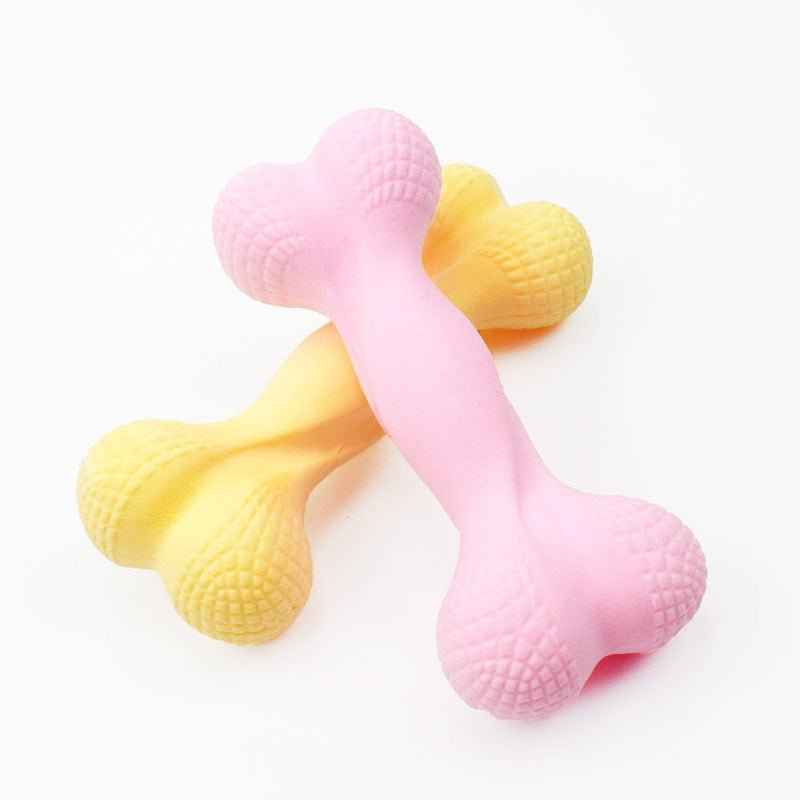 Big And Small Dogs Gnaw At Dog Bones