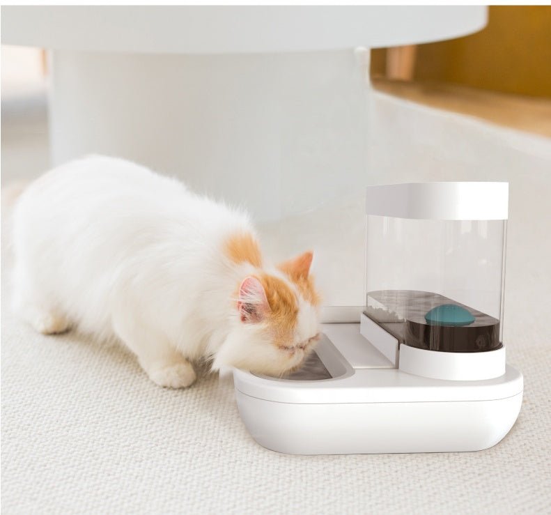 4 Style Pet Cat Bowl Dog for Cats Feeder Bowls Kitten Automatic Drinking Fountain 1.5L Capacity Puppy Feeding Waterer Products - Everpeakgoods