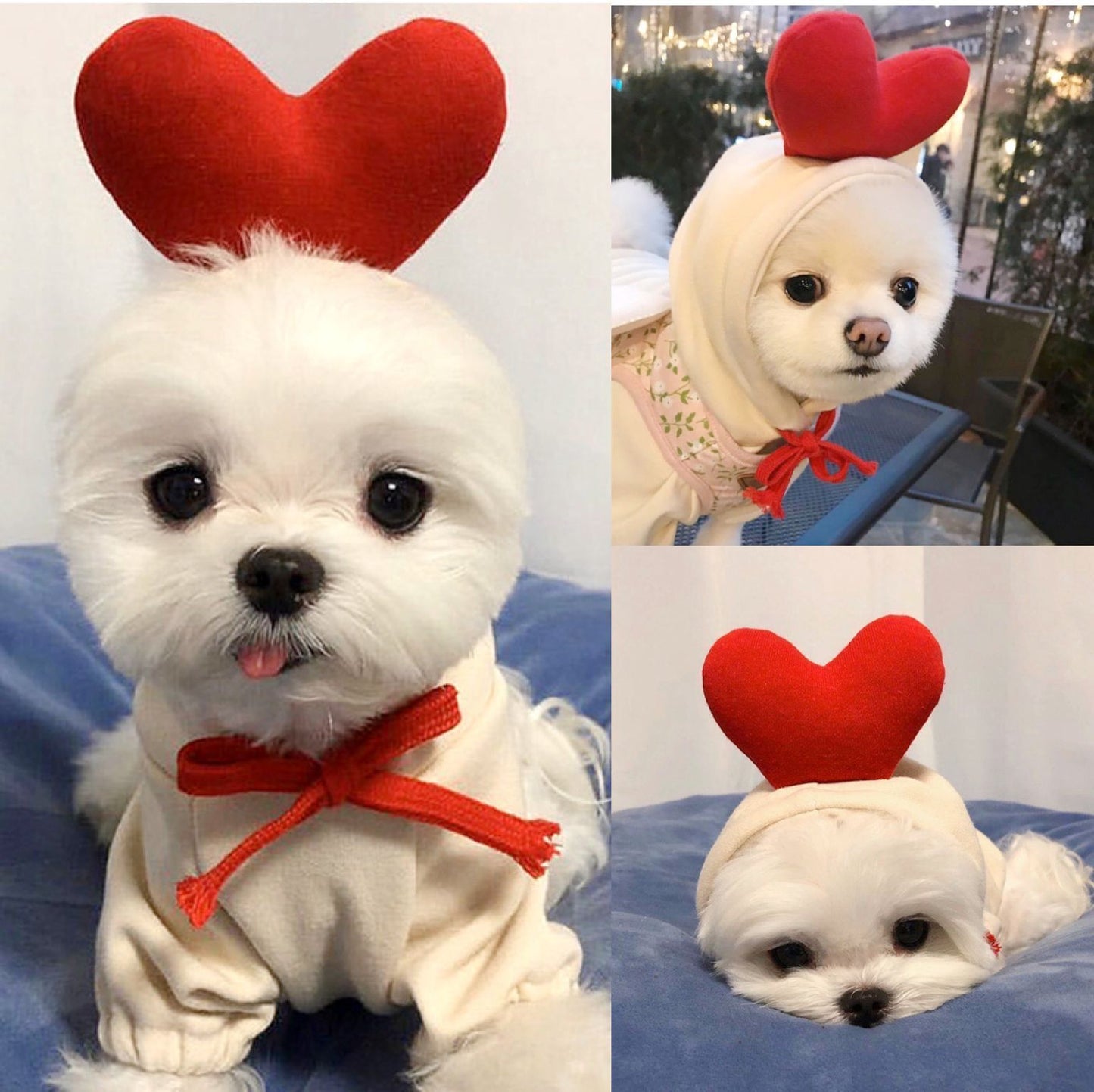 Cute Fruit Dog Clothes For Small Dogs Hoodies Winter Warm Fleece Pet Clothing Puppy Cat Costume Coat For French Chihuahua Outfit - key words