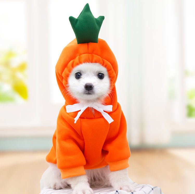 Cute Fruit Dog Clothes For Small Dogs Hoodies Winter Warm Fleece Pet Clothing Puppy Cat Costume Coat For French Chihuahua Outfit - key words