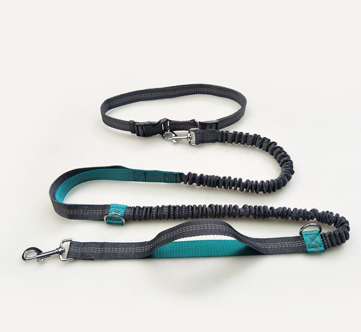 Amazon direct pet supplies multi-function running reflective pull dog leash double elastic dog leash traction - key words