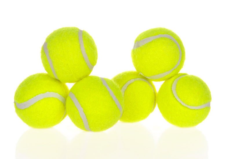 Dog Pet Automatic Interactive Ball Launcher - key words