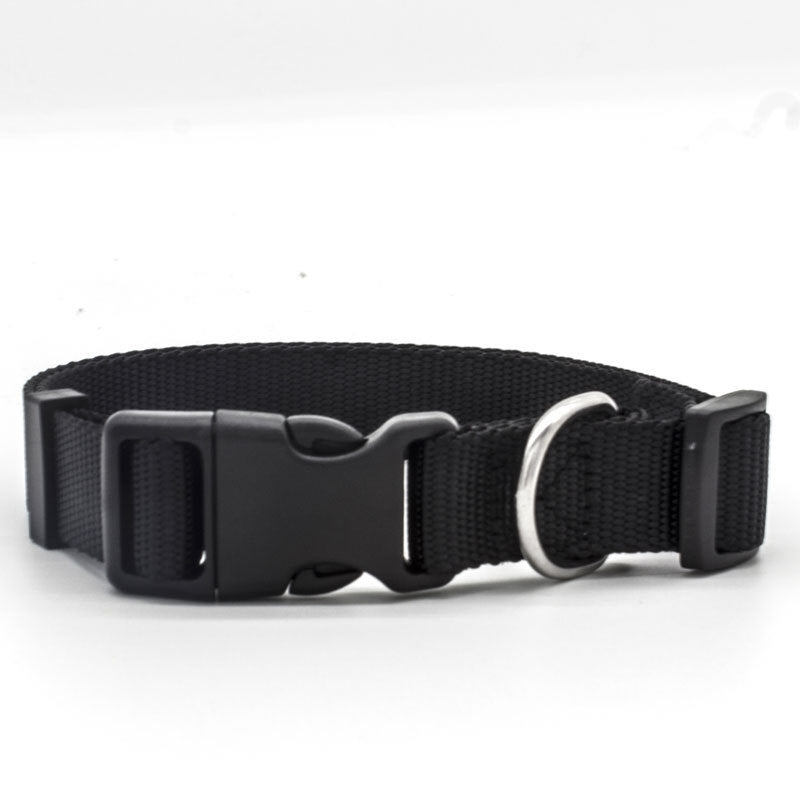 New Pet Collar - key words