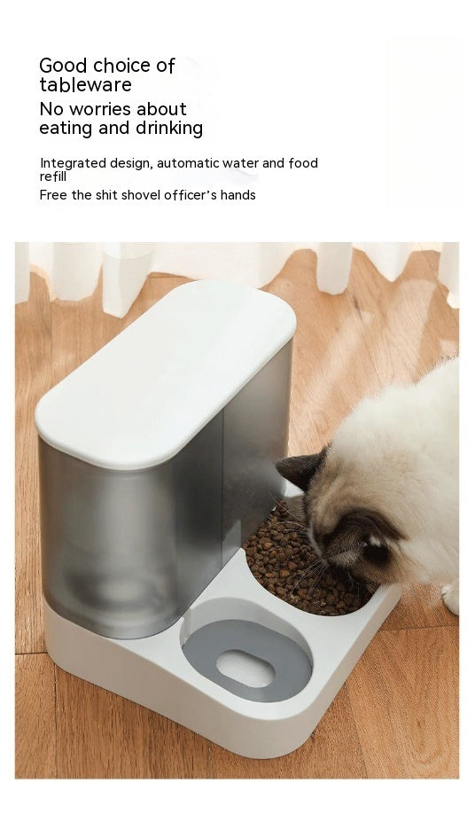 Pet Visual Automatic Pet Feeder - key words