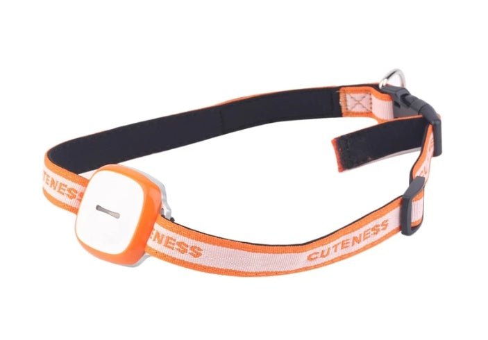 Collared Cat Dog Tracker Pet Locator Pet - key words
