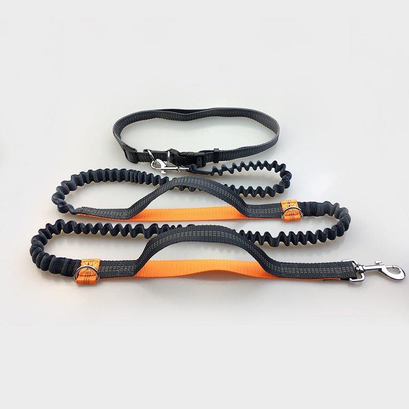 Amazon direct pet supplies multi-function running reflective pull dog leash double elastic dog leash traction - key words