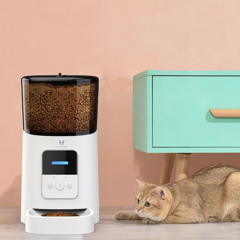 Pet automatic smart feeder - key words