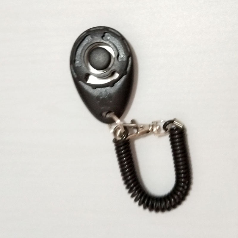 Dog training dog clicker pet supplies - key words