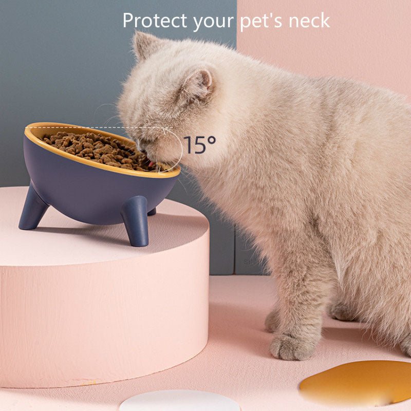 Cat Dog Bowl With Stand Pet Feeding Food Bowls Dogs Bunny Rabbit Nordic Color Feeder Product Supplies Pet Accessories - key words