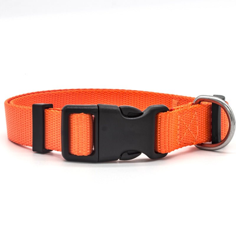 New Pet Collar - key words