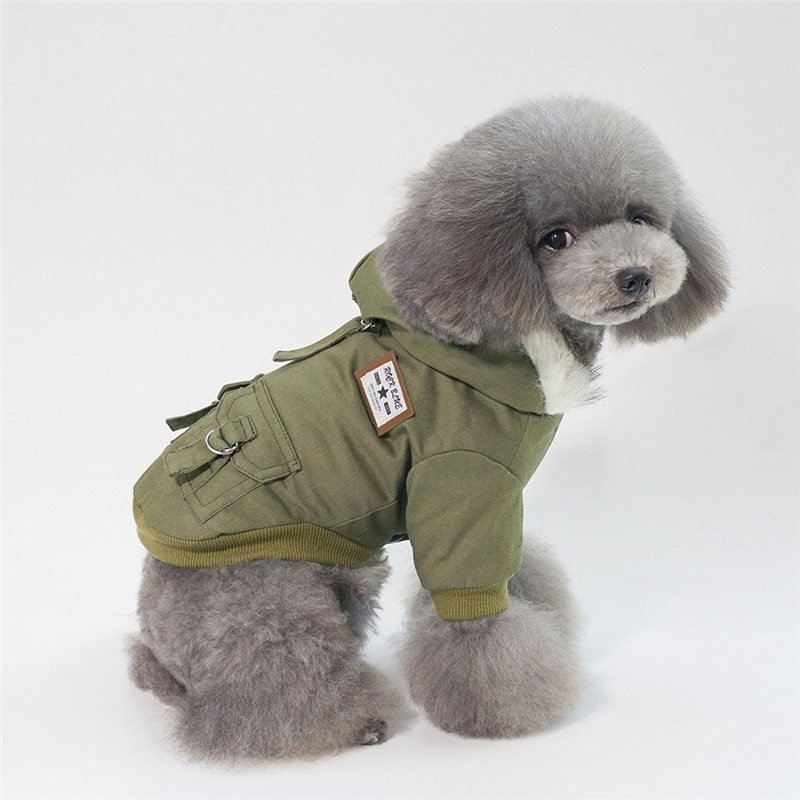 Cap dog coat - key words