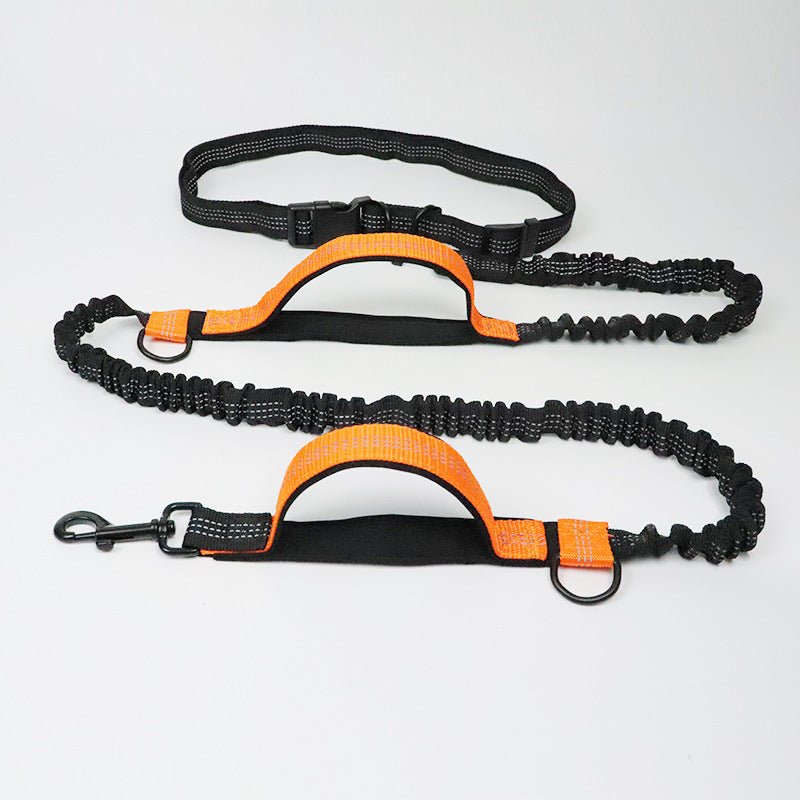 Amazon direct pet supplies multi-function running reflective pull dog leash double elastic dog leash traction - key words