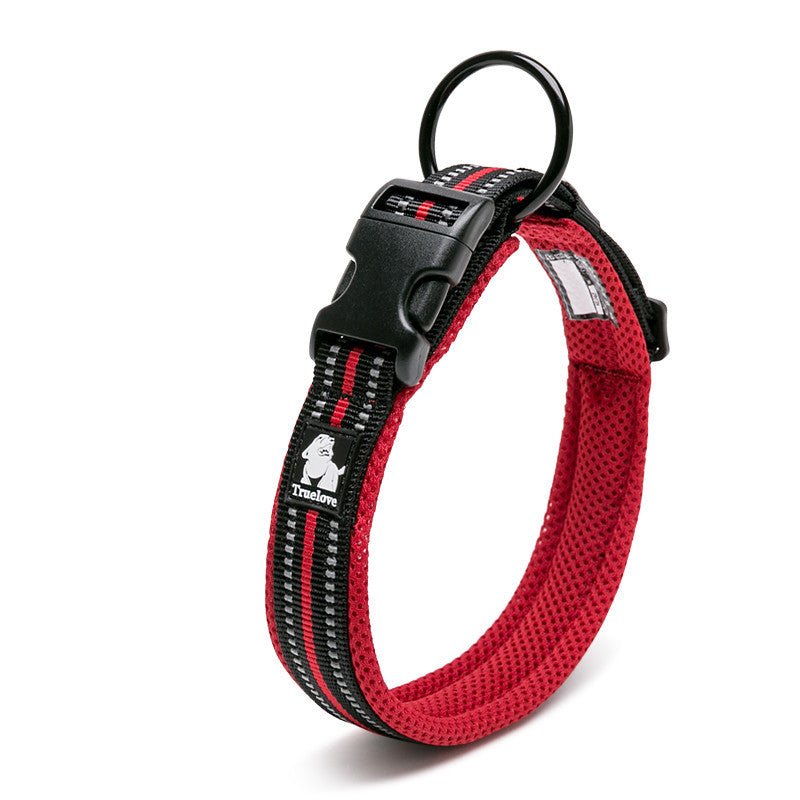 Anti Strangulation Medium Teddy Pet Products - key words