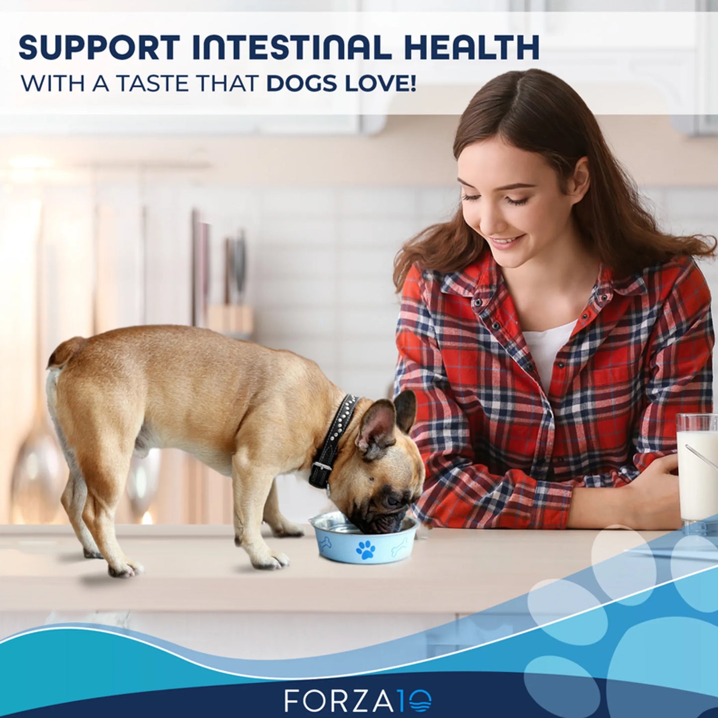 Forza10 Active Intestinal Support Diet Dry Dog Food - Everpeakgoods