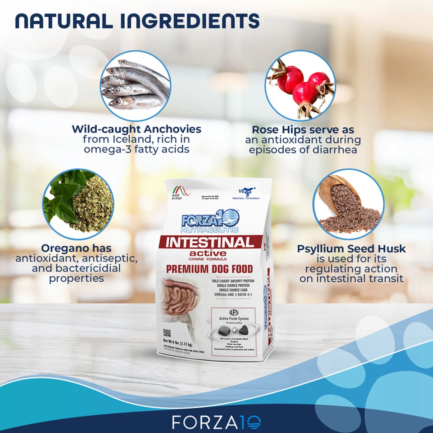 Forza10 Active Intestinal Support Diet Dry Dog Food - Everpeakgoods