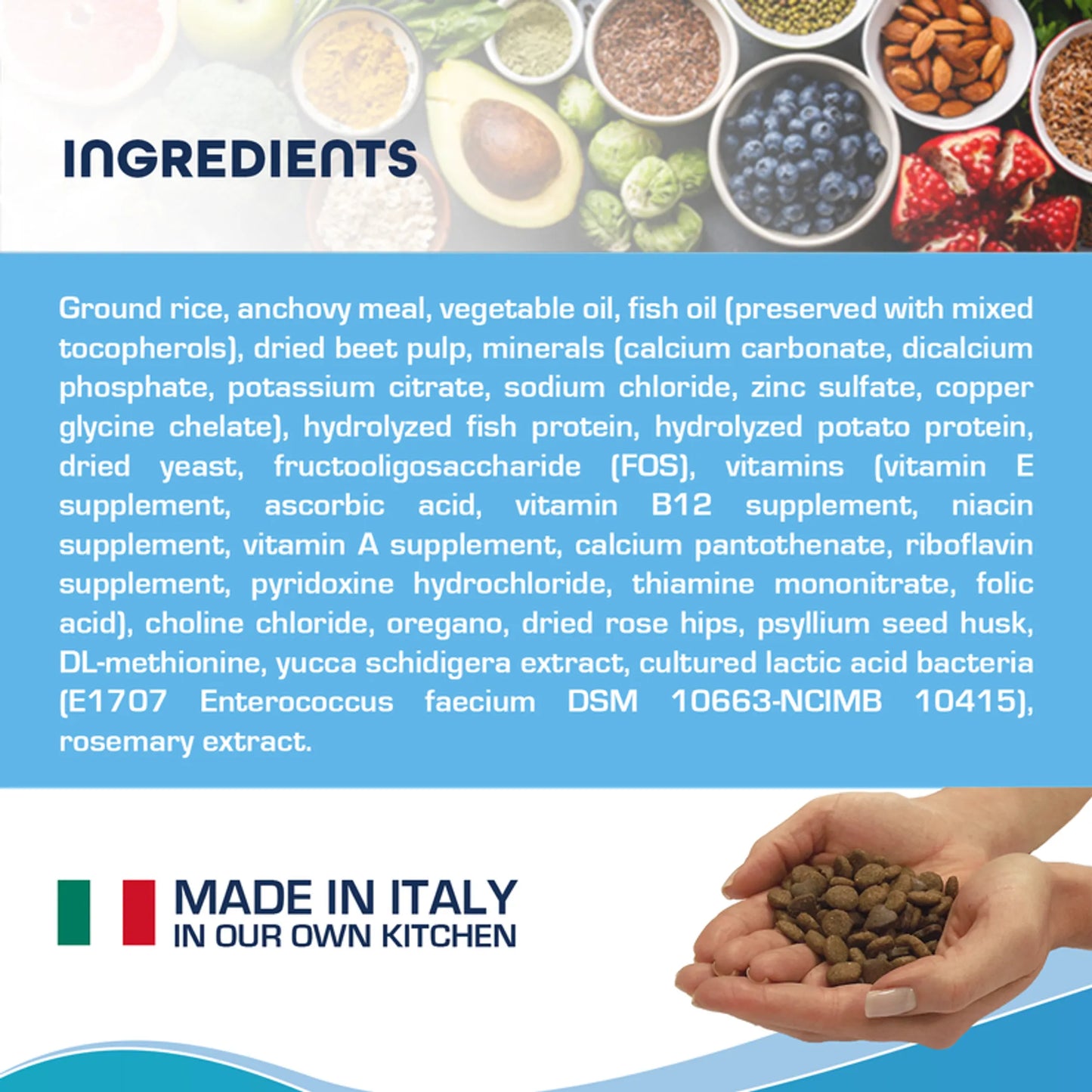 Forza10 Active Intestinal Support Diet Dry Dog Food - Everpeakgoods