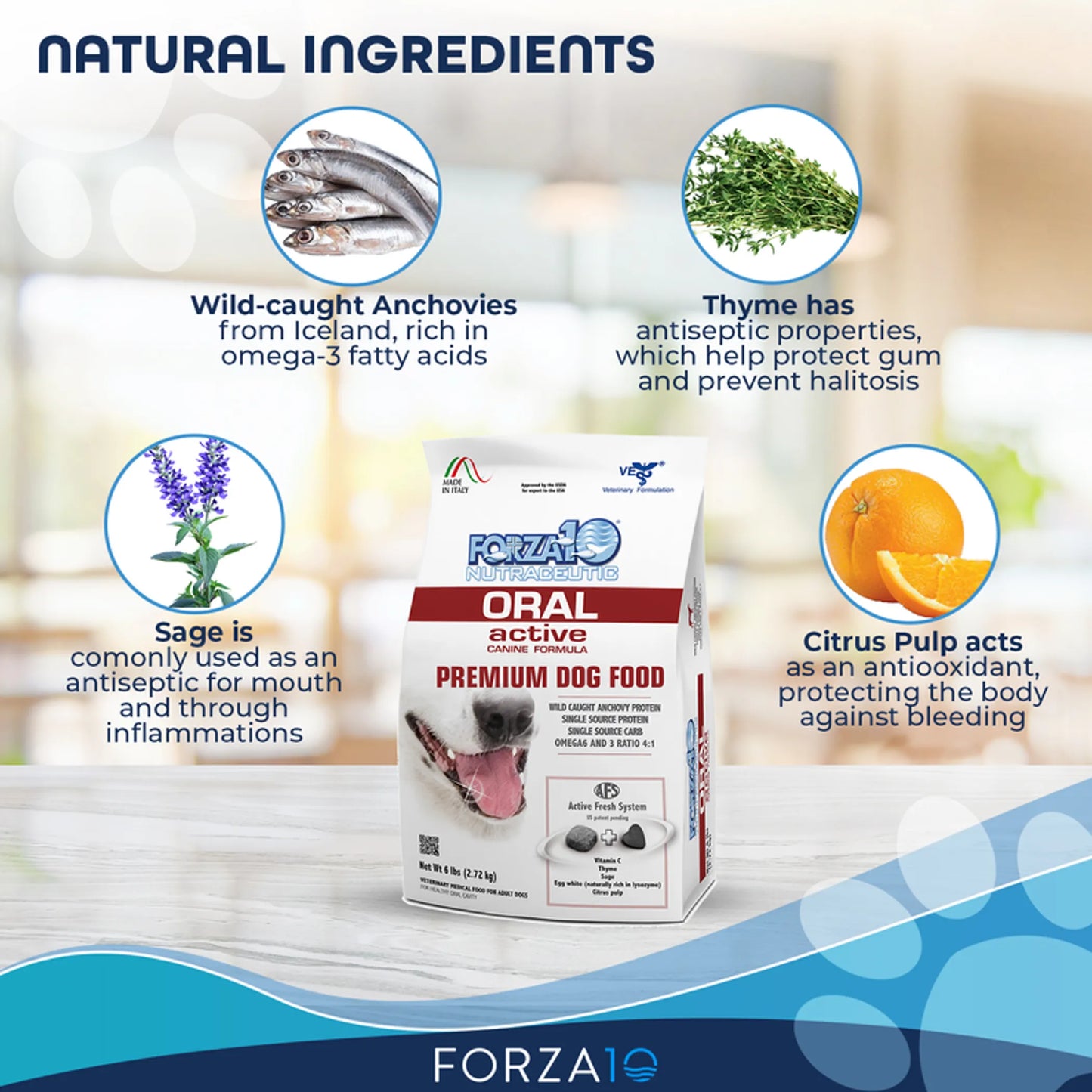 Forza10 Active Oral Support Diet Dry Dog Food - Everpeakgoods