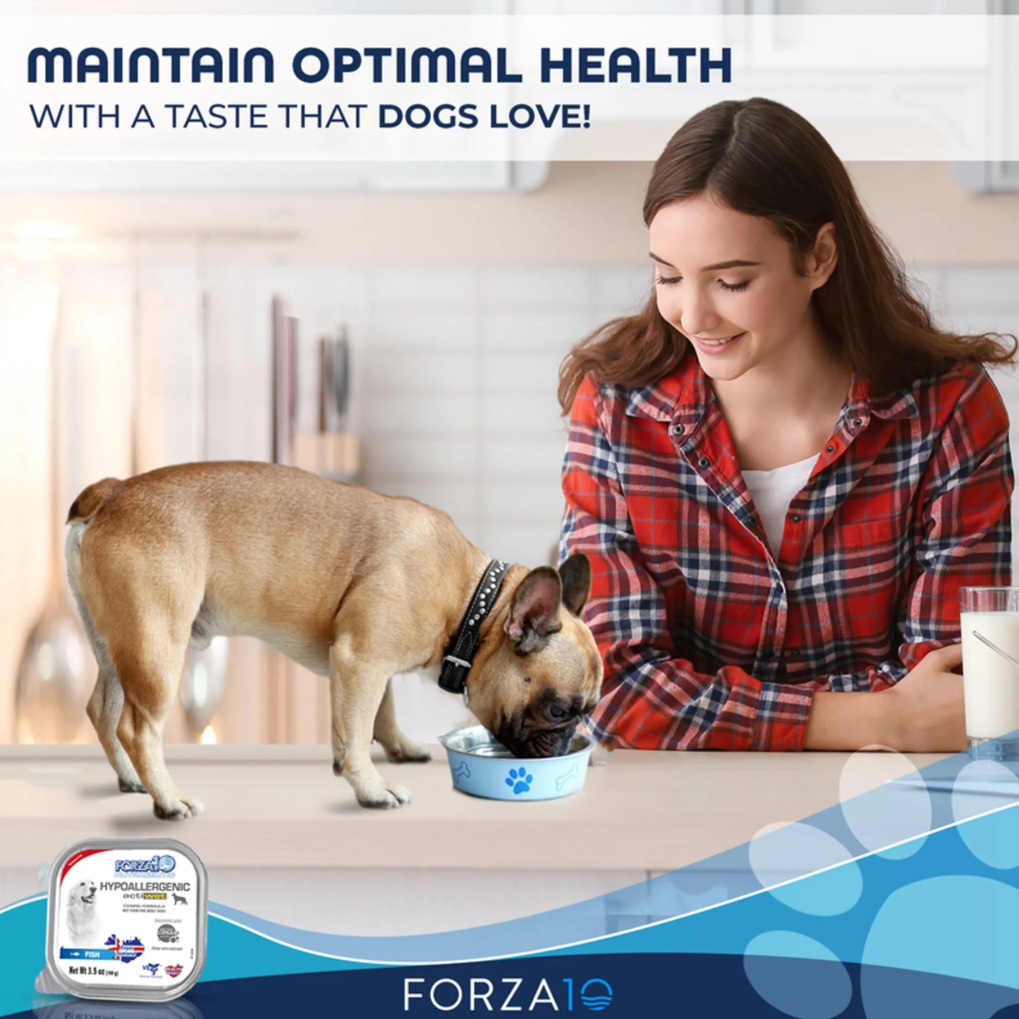 Forza10 Actiwet Hypoallergenic Icelandic Fish Recipe Canned Dog Food - Everpeakgoods